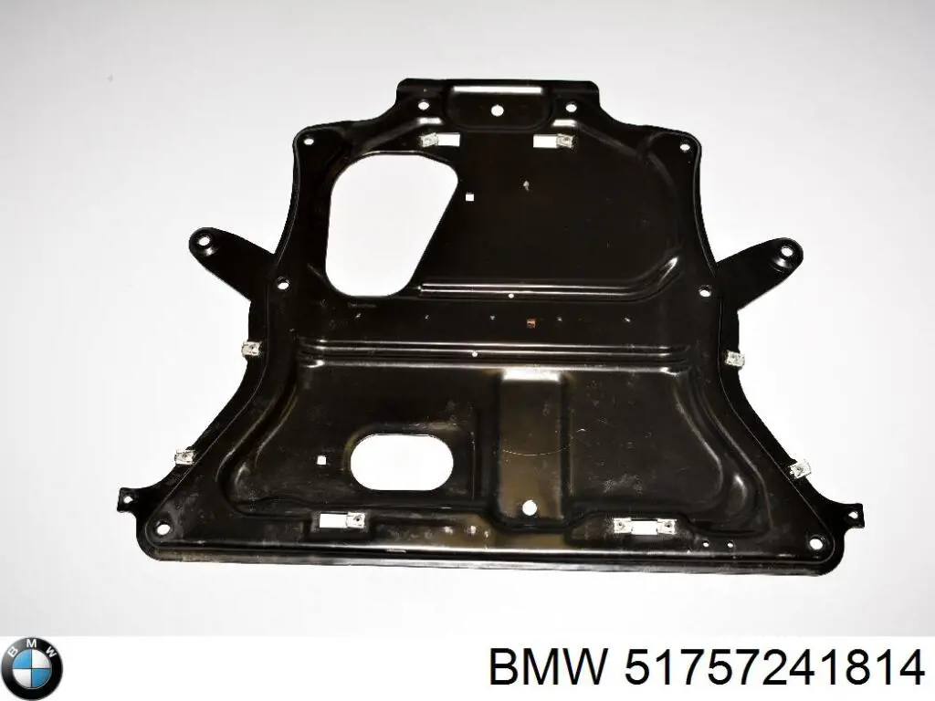 Protección de cárter BMW 51757241814 precio, desde 82,41 EUR