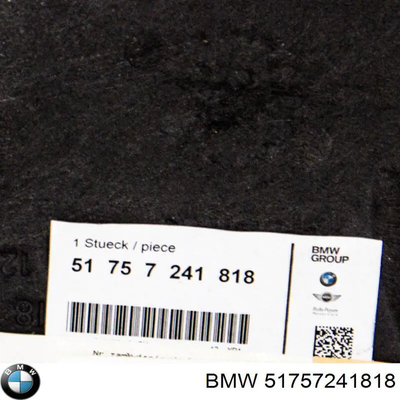 51757241818 BMW protección motor /empotramiento