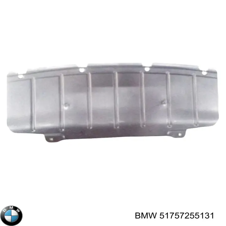 Comprar 51757255131 BMW Protección motor / empotramiento