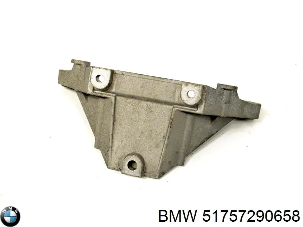Tabique del compartimiento del motor 51757290658 BMW