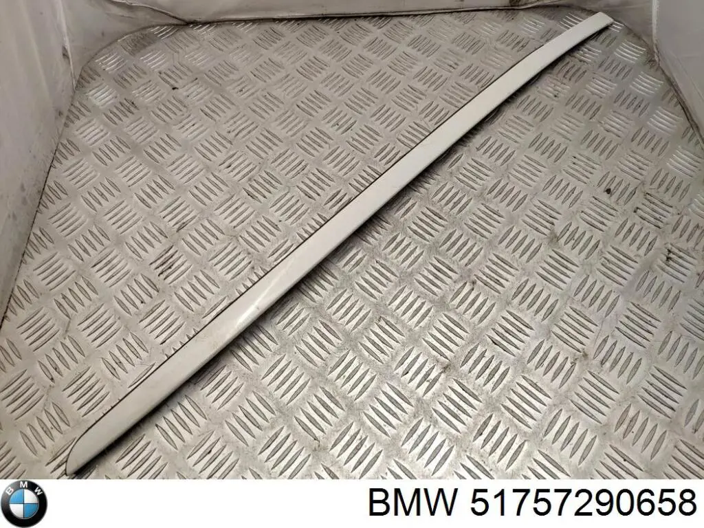 51757290658 BMW Tabique del compartimiento del motor