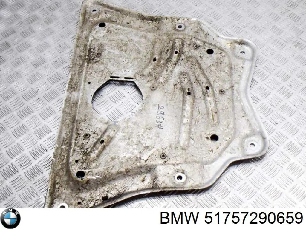 Protección de cárter BMW 51757290659 precio, desde 54,98 EUR