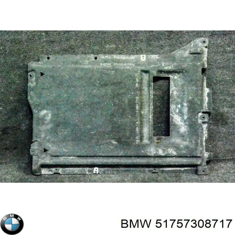 Protección de bajos, parte central BMW 51757308717 precio, desde 263,48 EUR