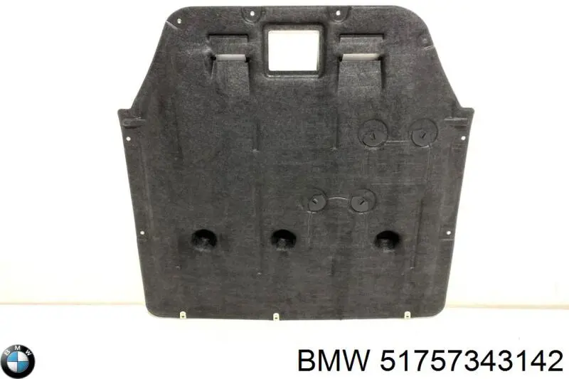 Comprar 51757343142 BMW Protección motor / empotramiento