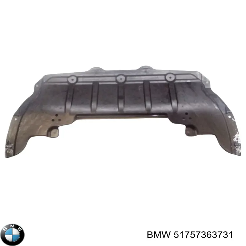 Protección motor trasera BMW 51757363731