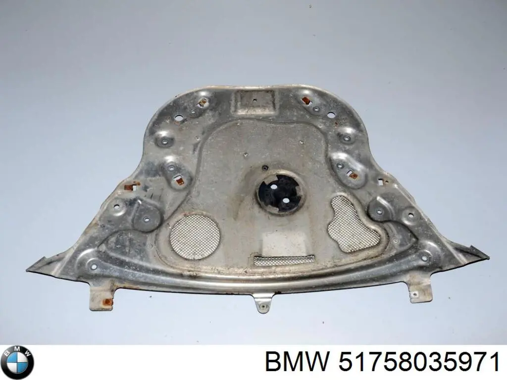 Protección motor trasera para BMW 7 (F01, F02, F03, F04)