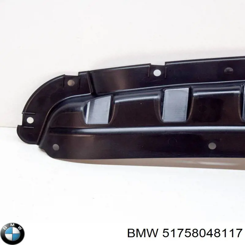 51758048117 BMW