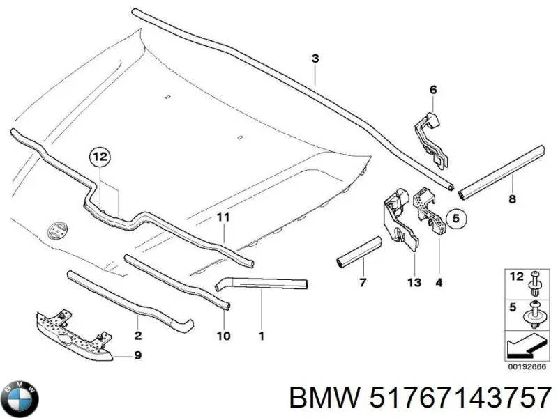 51767143757 BMW sello del capo