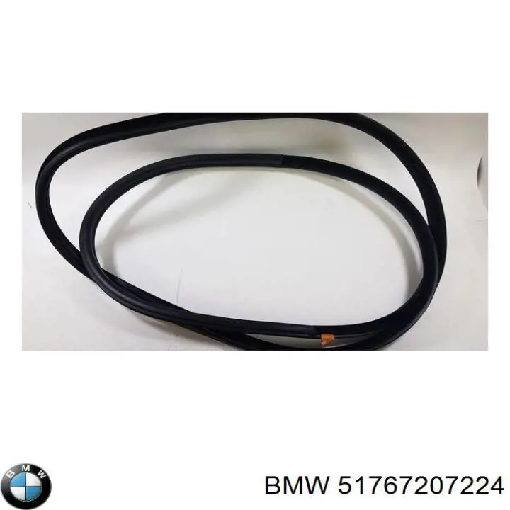 51727193157 BMW