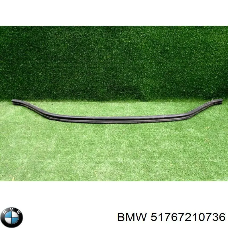 Sello Del Capó para BMW X3 (F25)