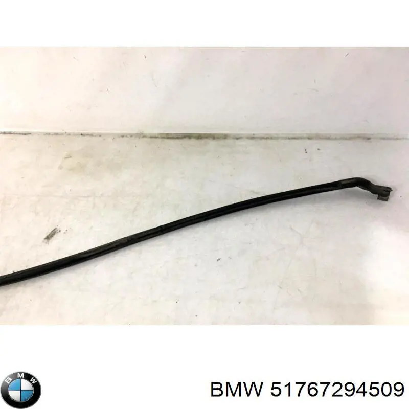 Comprar 51767294509 BMW Sellador del capó