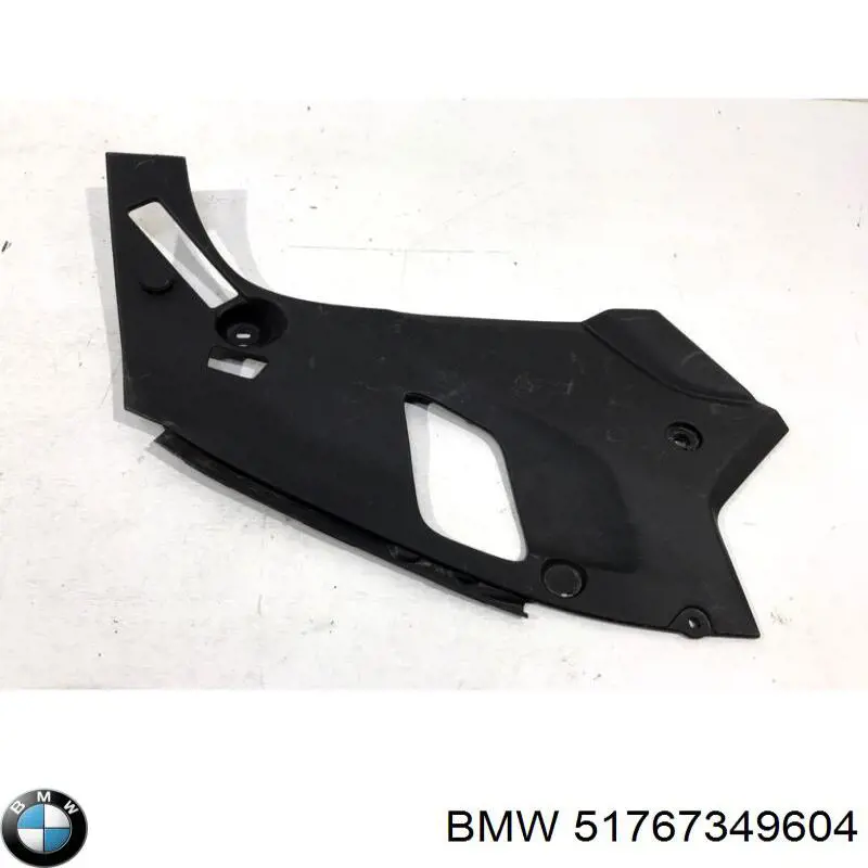 Protección derecha del motor BMW 51767349604 precio, desde 85,06 EUR