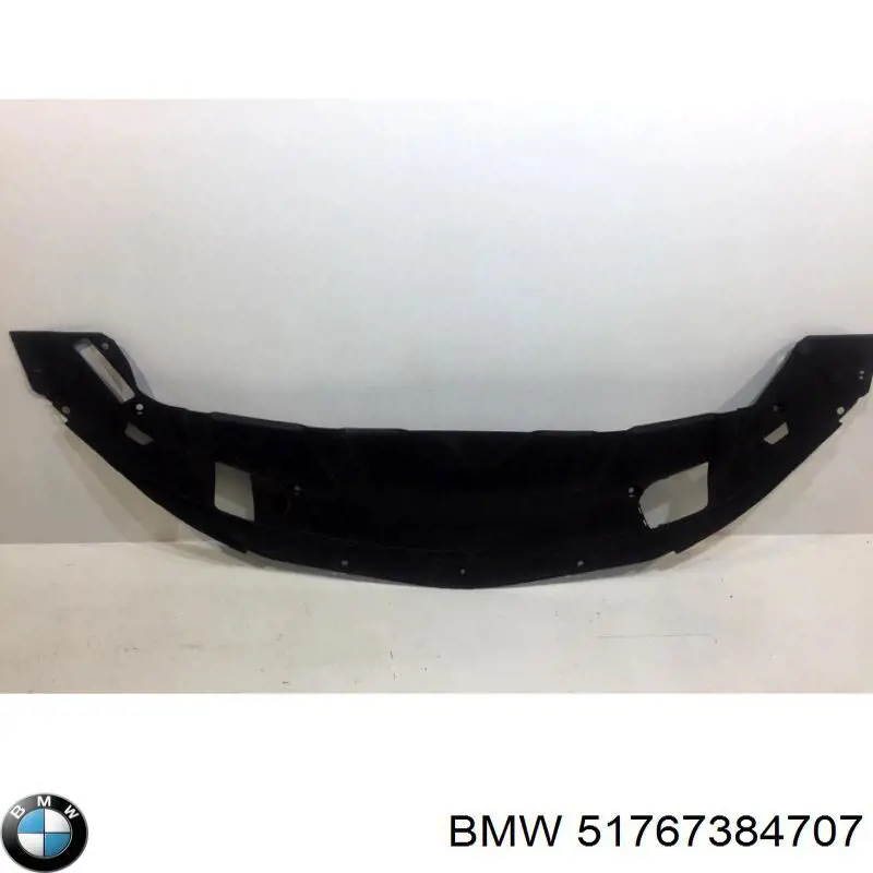 51767384707 BMW ajuste panel frontal (calibrador de radiador Superior)