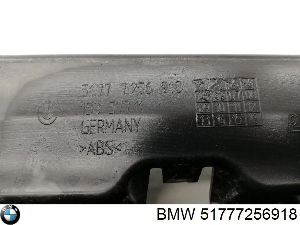 51777256918 BMW Soporte de moldura exterior del estribo derecho
