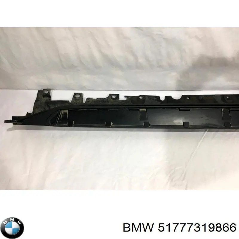 51777319866 BMW