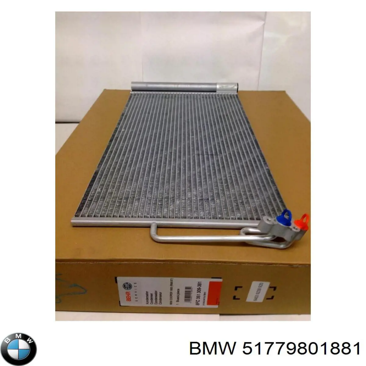 51779801881 BMW Extensión de aleta delantera izquierda