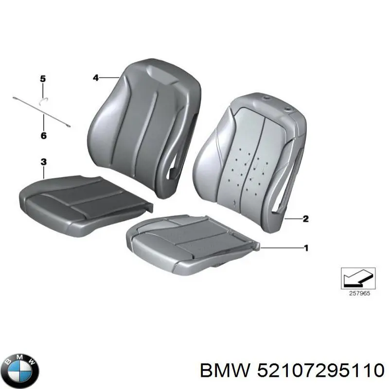 52107295110 BMW