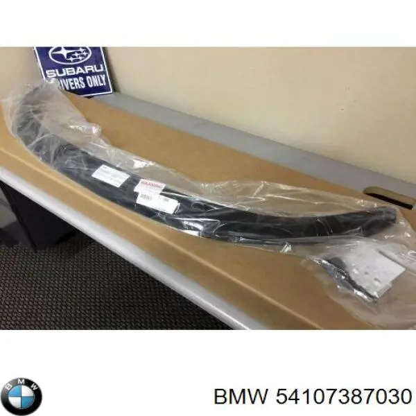 54107387030 BMW