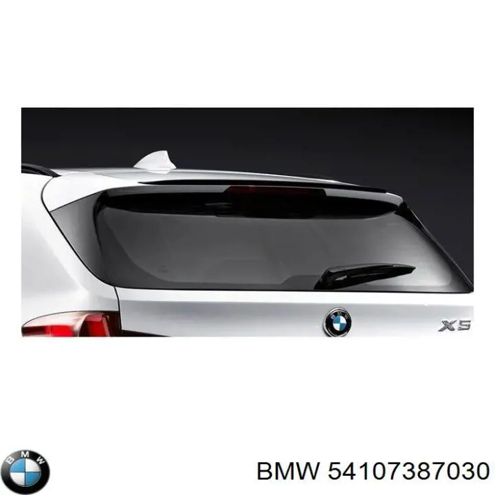  BMW 54107387030 precio, desde 216,63 EUR