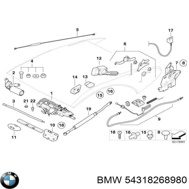 54318268980 BMW