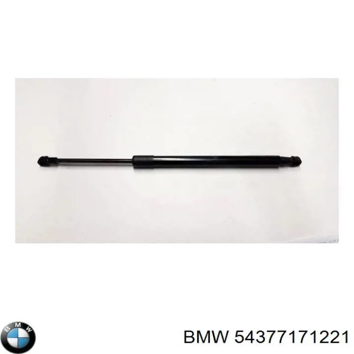 54377171221 BMW