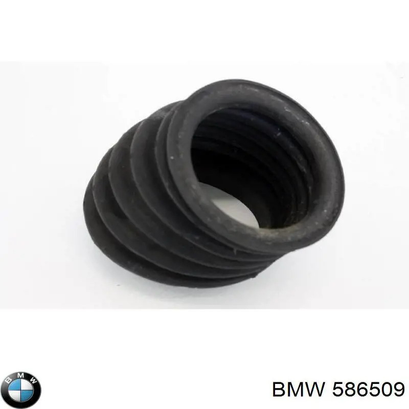 586509 BMW 