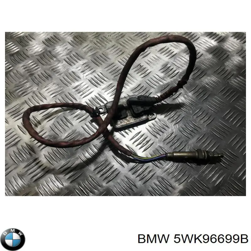 5WK96699B BMW