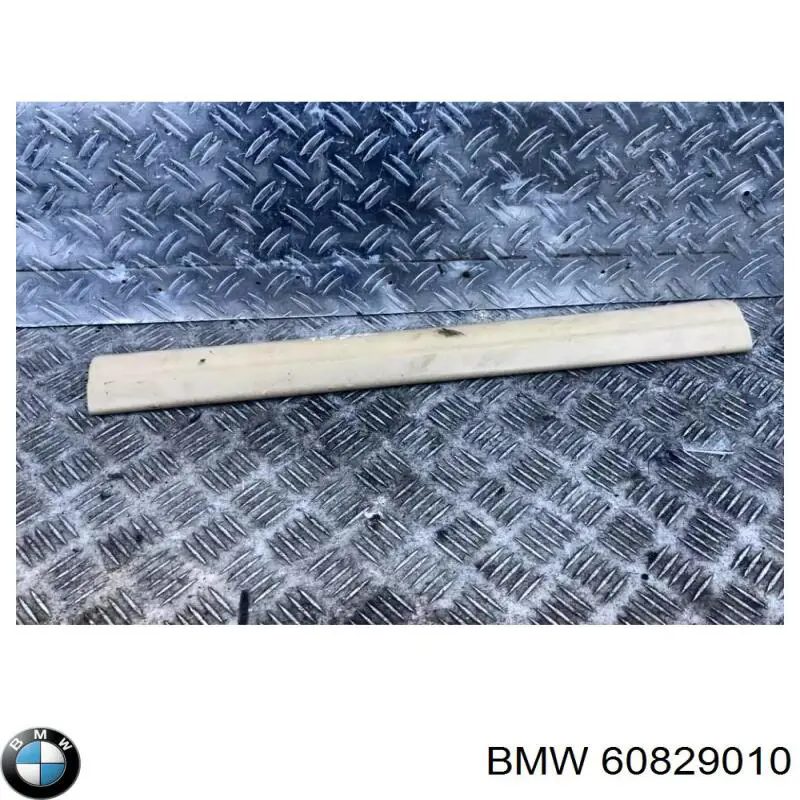  60829010 BMW