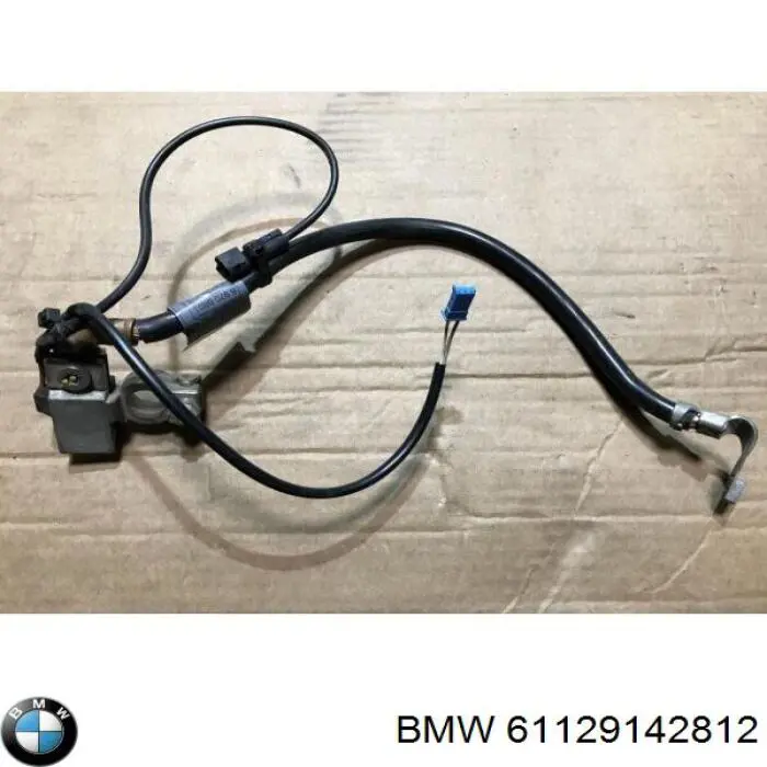 Cable de masa de batería BMW 61129142812 precio, desde 103,09 EUR