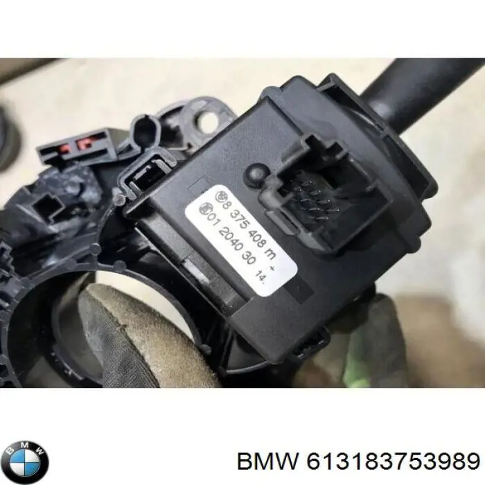 Comprar 613183753989 BMW 