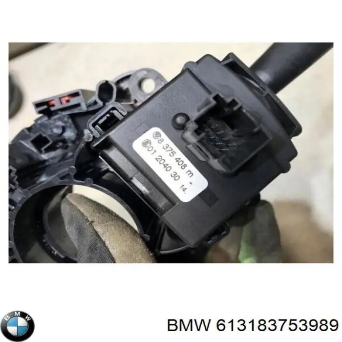  613183753989 BMW