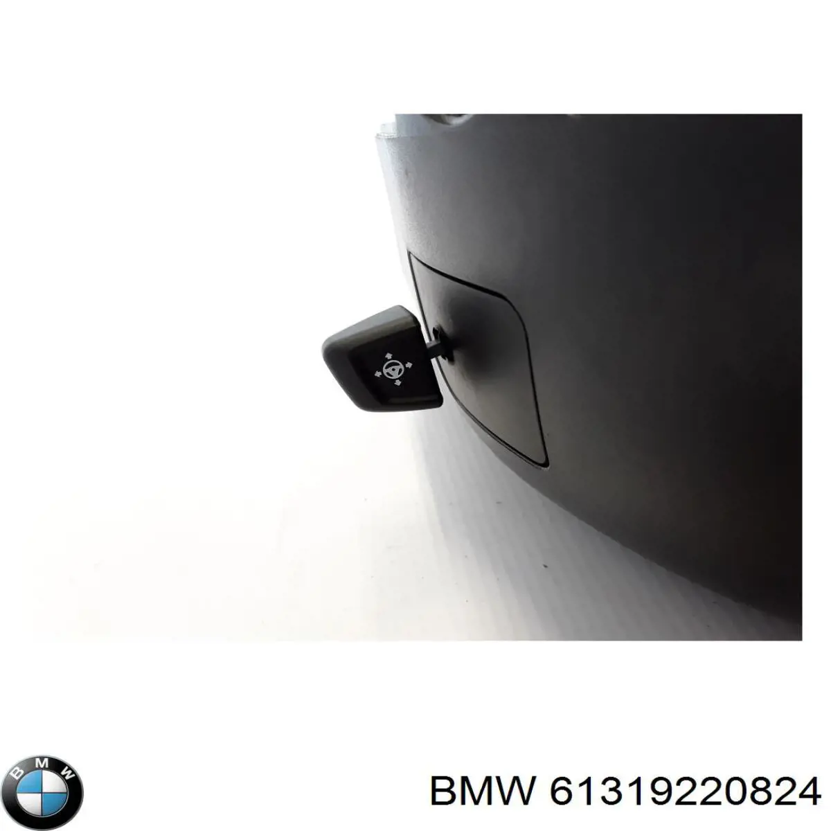 61319220824 BMW