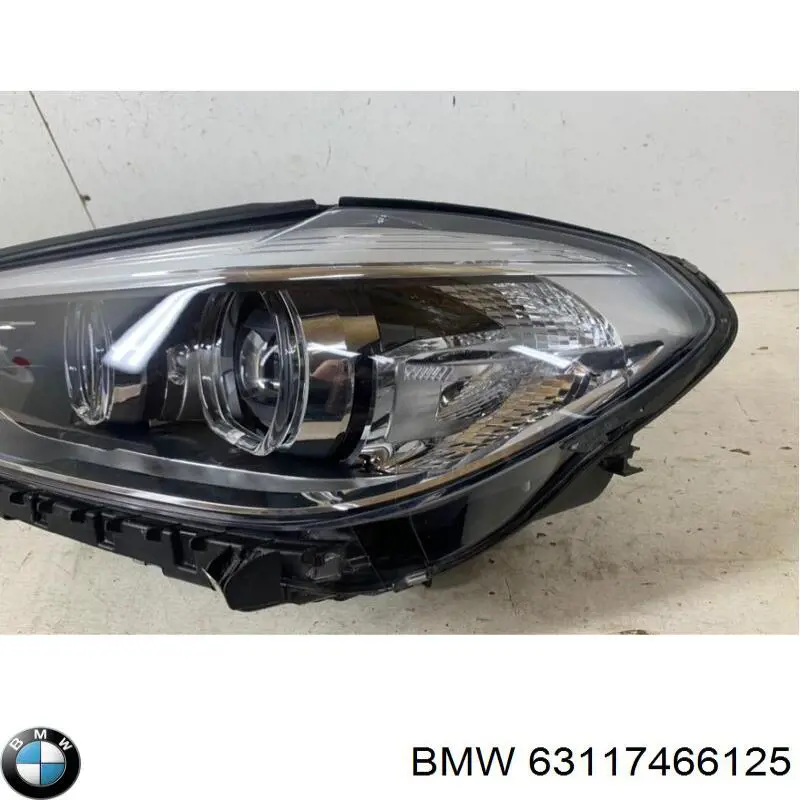 63117466125 BMW Faros