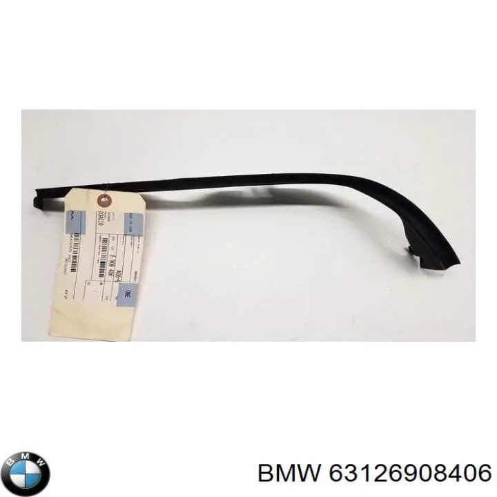 Sello del faro derecho para BMW 5 (E39)