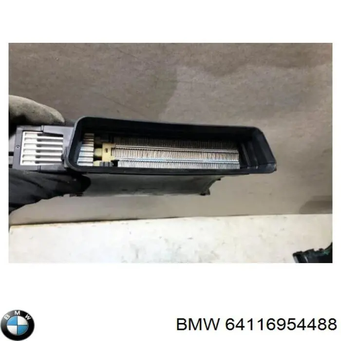 64116954488 BMW