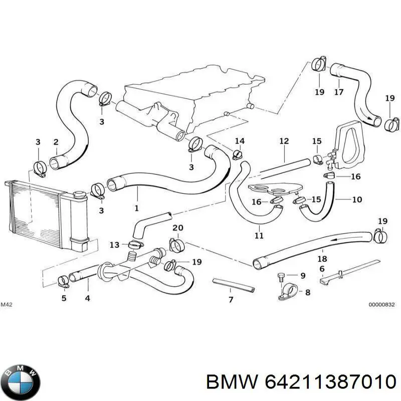 64211387010 BMW manguera refrigerante para radiador inferiora