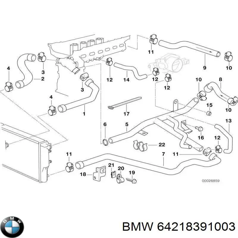 64218391003 BMW Manguera de refrigeración