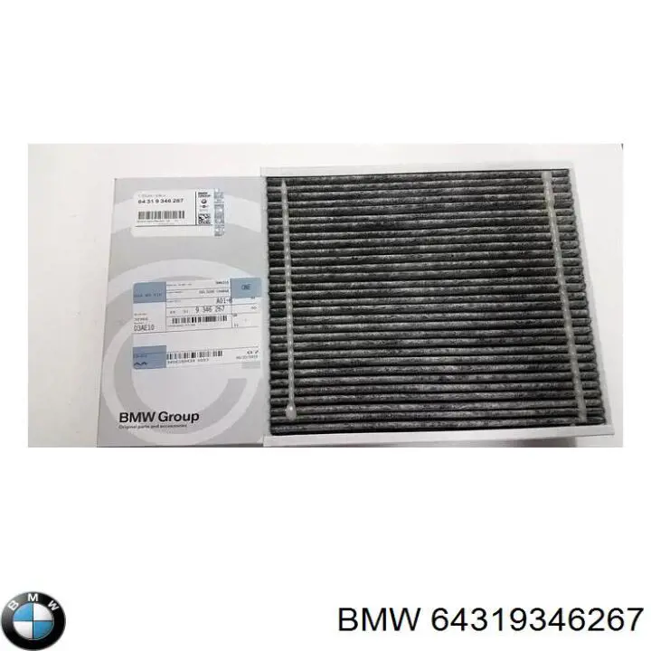 64319346267 BMW Filtro antipolen