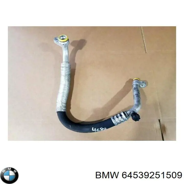 64539251509 BMW