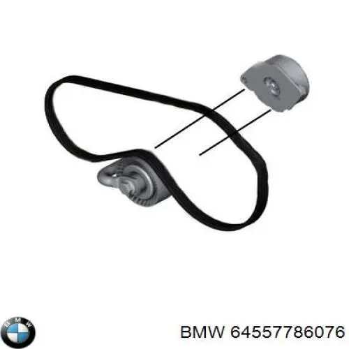Tensor de correa poli V 64557786076 BMW