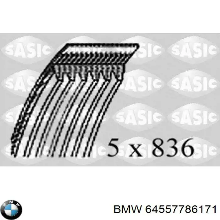 Correa de transmisión trapezoidal BMW 64557786171 precio, desde 6,17 EUR