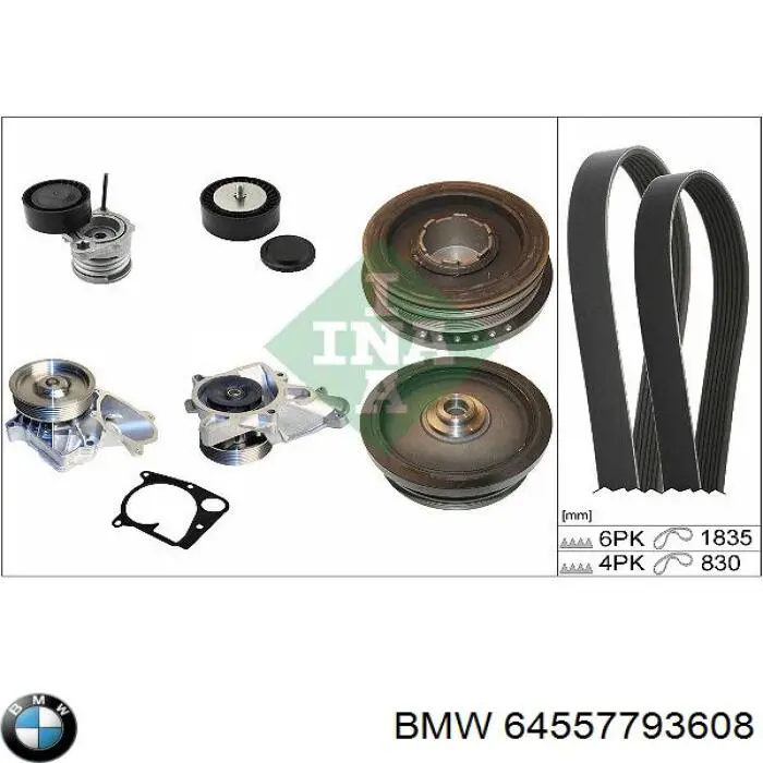Correa de transmisión trapezoidal BMW 64557793608 precio, desde 12,54 EUR