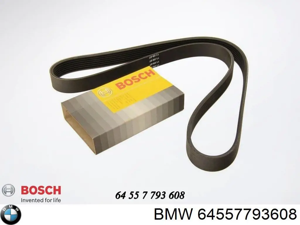 Correa de alternador 64557793608 BMW