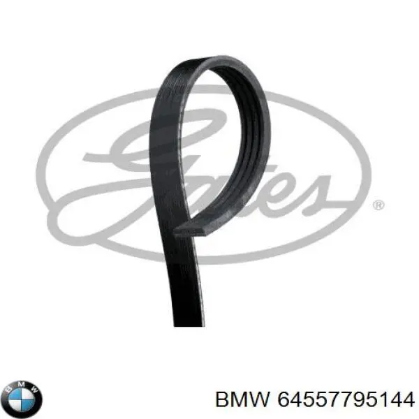 Correa de alternador 64557795144 BMW