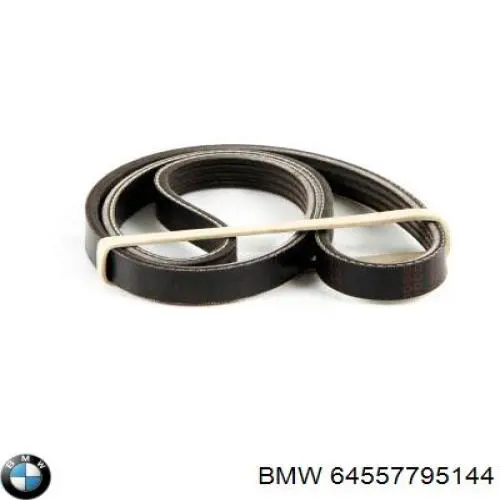 Correa accesorios BMW 64557795144