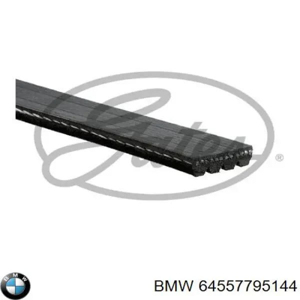 Comprar 64557795144 BMW Correa trapezoidal