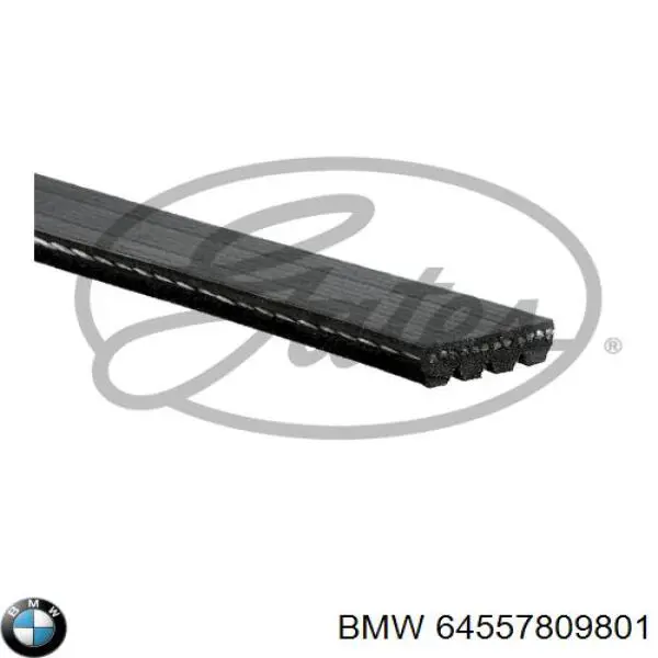 Comprar 64557809801 BMW Correa trapezoidal