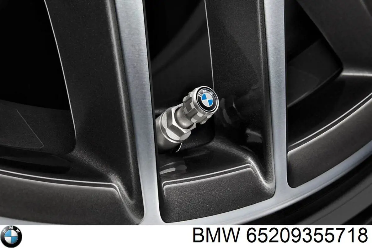 Comprar 65209355718 BMW 