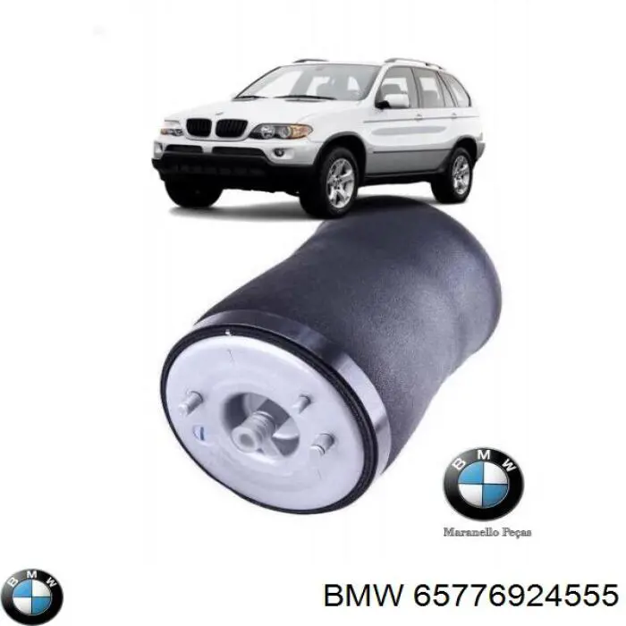 65776949905 BMW