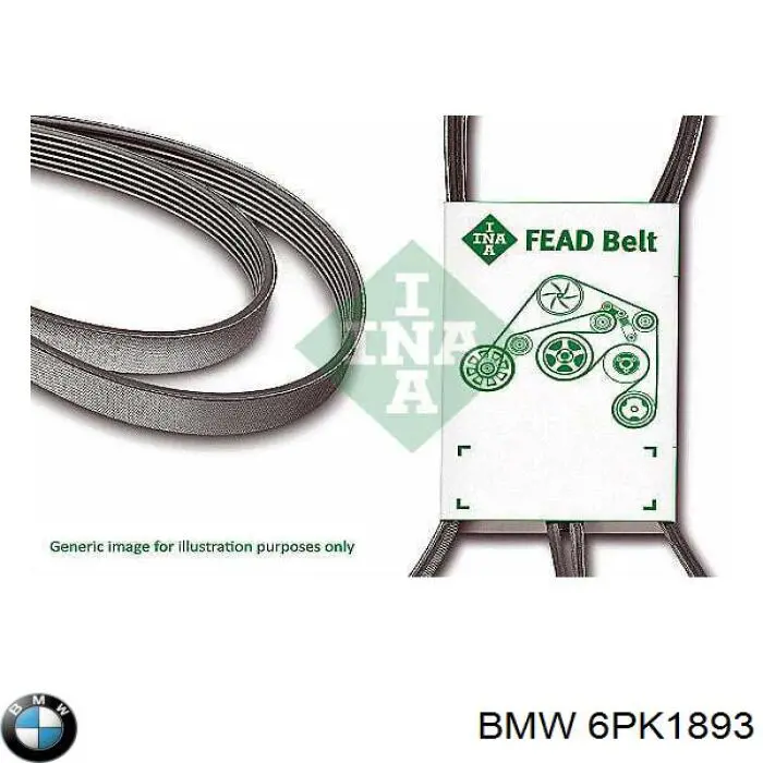 6PK1893 BMW correa trapezoidal